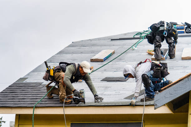 Professional Gutter Installation technician working in Walden, TN